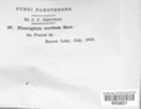 Image Associated With the Occurence